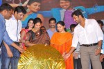 Kevvu Keka Movie Audio Launch - 178 of 289