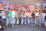 Kevvu Keka Movie Audio Launch - 250 of 289