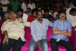 Kick 2 Audio Launch 02 - 69 of 87