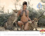 Kingfisher Calendar 2011 - 2 of 12