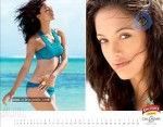 Kingfisher Calendar 2011 - 12 of 12