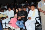 Komaram Puli Movie Audio Release - 61 of 247