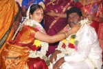 Kottai Perumal Son Wedding Reception - 49 of 55