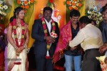 Kottai Perumal Son Wedding Reception - 13 of 55