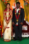 Kottai Perumal Son Wedding Reception - 63 of 55