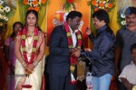 Kottai Perumal Son Wedding Reception - 22 of 55