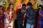 Kottai Perumal Son Wedding Reception - 26 of 55
