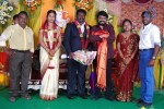 Kottai Perumal Son Wedding Reception - 30 of 55