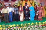 Kottai Perumal Son Wedding Reception - 33 of 55