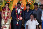 Kottai Perumal Son Wedding Reception - 37 of 55