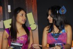 Kraze - 3D Pc Racing Game Launched By Balakrishna - 59 of 77