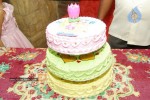 Krishnam Raju Birthday Party Stills - 19 of 29
