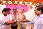 Krishnamma Kalipindi Iddarini Movie Opening - 33 of 92