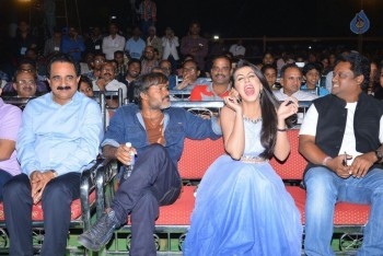 Krishnashtami Audio Launch - 32 of 61