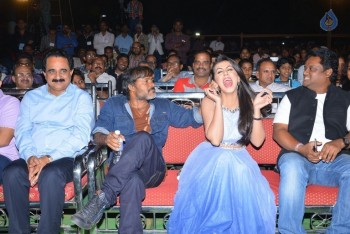 Krishnashtami Audio Launch - 11 of 61