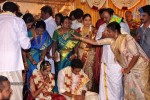 KS Ravikumar Daughter Marriage Photos - 11 of 97