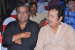 Laddu Babu Movie Audio Launch 01 - 25 of 37