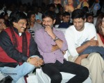 Ladies and Gentlemen Audio Launch - 27 of 235