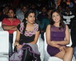 Ladies and Gentlemen Audio Launch - 137 of 235