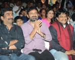 Ladies and Gentlemen Audio Launch - 139 of 235