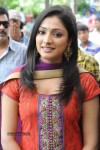 Lakshman Cine Visions Pro. 2 Movie Launch - 31 of 44