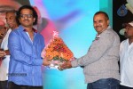 Lakshmi Raave Maa Intiki Audio Launch 01 - 2 of 128