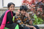 Lakshmi Raave Maa Intiki Audio SM - 24 of 167