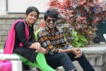 Lakshmi Raave Maa Intiki Audio SM - 38 of 167
