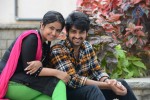 Lakshmi Raave Maa Intiki Audio SM - 53 of 167