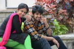 Lakshmi Raave Maa Intiki Audio SM - 99 of 167