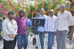Lakshmi Raave Maa Intiki Movie Opening - 35 of 85
