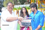 Lakshmi Raave Maa Intiki Movie Opening - 56 of 85