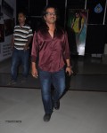 Lakshmi Raave Maa Intiki Premiere Show - 28 of 49