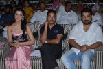 Lava Kusa Audio Launch 02 - 33 of 46