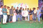 Lava Kusa Audio Launch 02 - 45 of 46