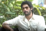 Leader - Rana, Richa in TV Shows - 21 of 46