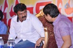 Legend 100 days Function at Hindupur - 46 of 112
