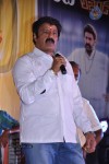 Legend 100 days Function at Hindupur - 109 of 112