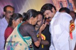 Legend 100 days Function at Hindupur - 110 of 112