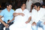 Legend Movie 50 Days Success Meet 01 - 12 of 147