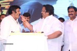 Legend Movie 50 Days Success Meet 01 - 22 of 147