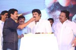 Legend Movie 50 Days Success Meet 01 - 41 of 147
