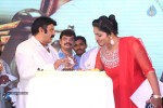 Legend Movie 50 Days Success Meet 01 - 94 of 147