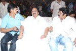 Legend Movie 50 Days Success Meet 01 - 99 of 147