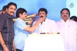 Legend Movie 50 Days Success Meet 01 - 101 of 147