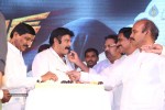 Legend Movie 50 Days Success Meet 01 - 102 of 147