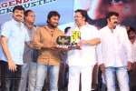 Legend Movie 50 Days Success Meet 02 - 139 of 128