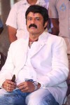 Legend Movie 50 Days Success Meet 02 - 22 of 128