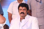 Legend Movie 50 Days Success Meet 02 - 27 of 128