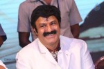 Legend Movie 50 Days Success Meet 02 - 32 of 128